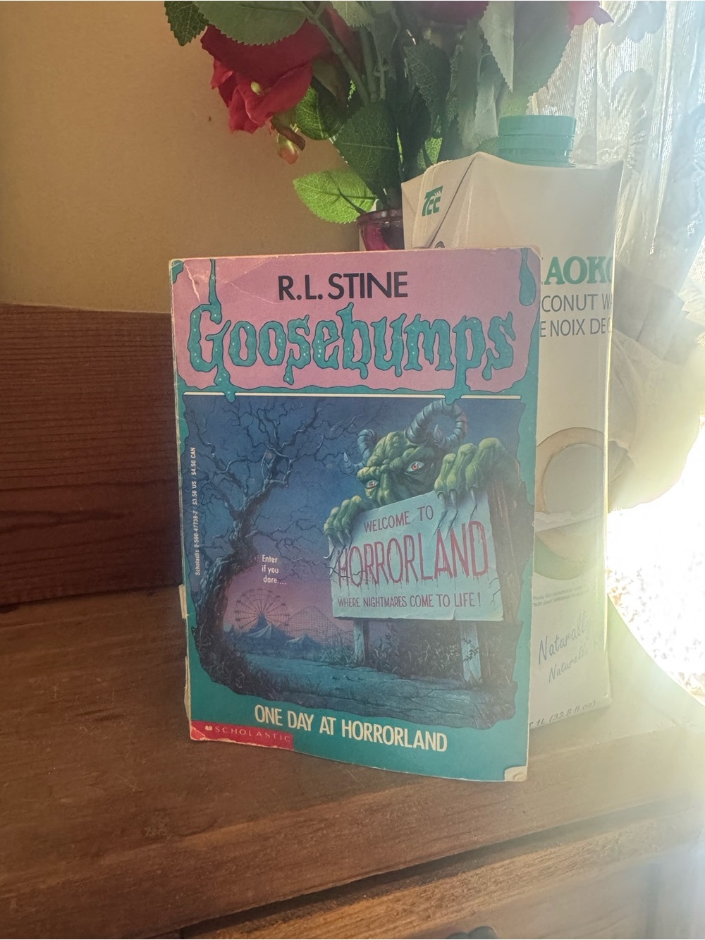 Scholastic Goosebumps Paperback — Pink & Teal Illustrated Back Cover